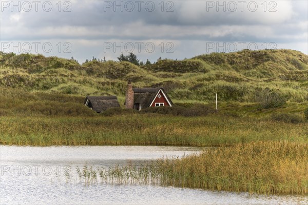 Swedish house behind reed belt at Nyminde Strom in front of dune landscape, Norre fog, Region