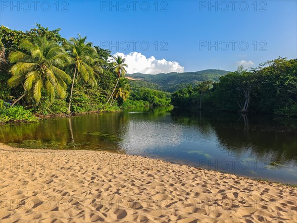 View of a river arm, a tropical mangrove landscape and the natural surroundings of Grande Anse