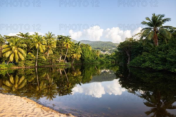 View of a river arm, a tropical mangrove landscape and the natural surroundings of Grande Anse