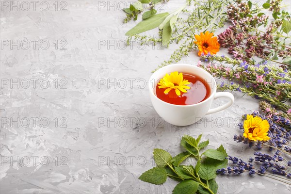 Cup of herbal tea with calendula, lavender, oregano, hyssop, mint and lemon balm on a gray concrete