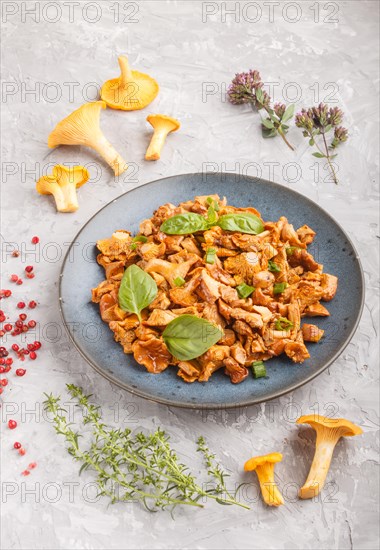 Fried chanterelle mushrooms with basil and spice herbs on gray concrete background. Side view,