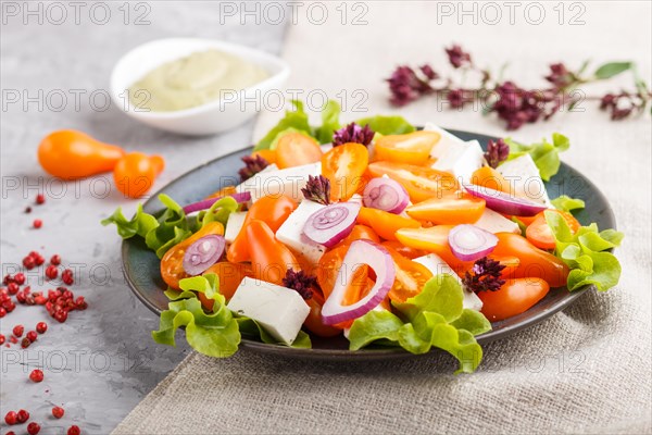 Vegetarian salad with fresh grape tomatoes, feta cheese, lettuce and onion on blue ceramic plate on