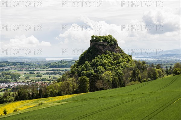 Hohenkraehen, near Singen, Hegau, district of Constance, Lake Constance, Baden-Wuerttemberg,