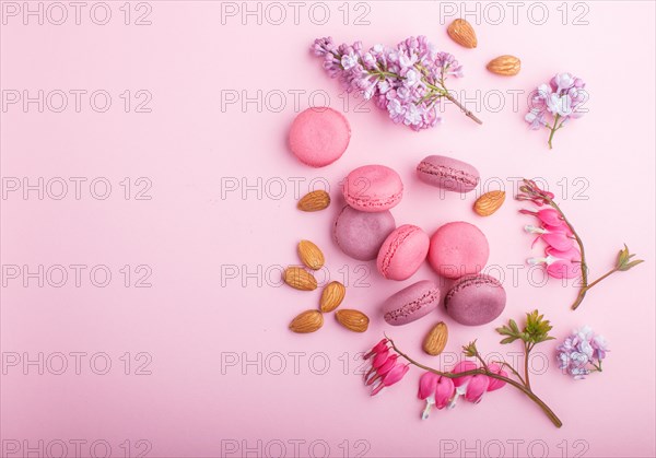 Purple and pink macaron or macaroon cakes with lilac and bleeding heart flowers on pastel pink