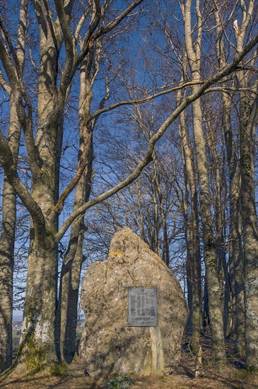Boulder with plaque of honour for those who died in the wars, Buchenberg, Allgaeu, Bavaria,