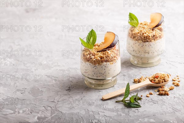 Yoghurt with plum, chia seeds and granola in a glass and wooden spoon on gray concrete background.