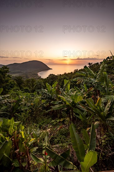View from a mountain to a secluded bay with a sandy beach and mangrove forest. The sun rises over