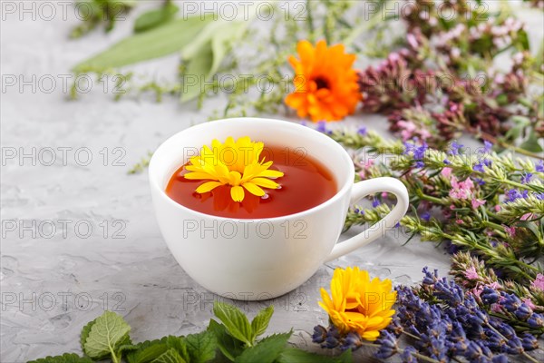 Cup of herbal tea with calendula, lavender, oregano, hyssop, mint and lemon balm on a gray concrete