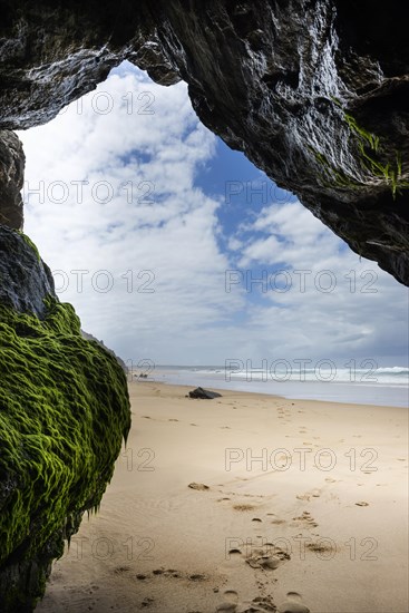 Rocky beach landscape, rocks, sea, Atlantic coast, rocky coast, beach, rock formation, cave, algae,