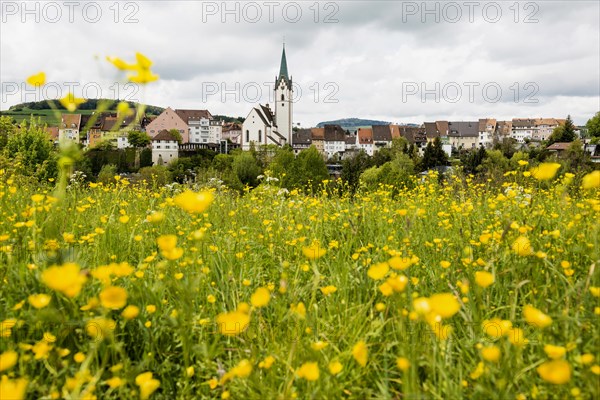 Historic old town, Engen, Hegau, Constance district, Lake Constance, Baden-Wuerttemberg, Germany,