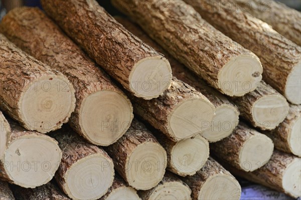 Pile of wood on the Irrawaddy, also known as Ayeyarwady, river between Mandalay and Bagan, Myanmar,