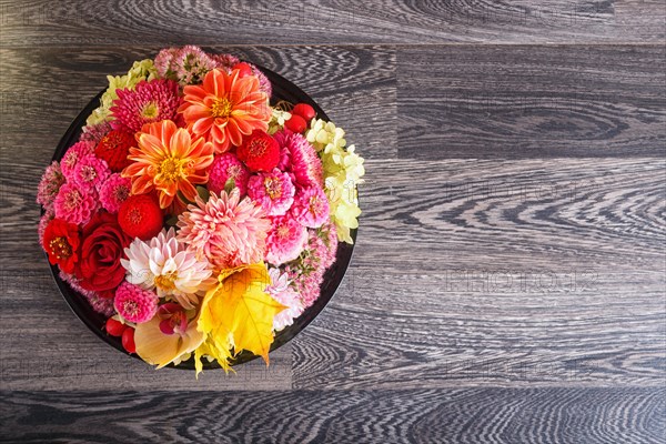 Floral arrangement of autumn flowers on a plate. dahlia, zinnia, rose, orchid, maple leaves. copy