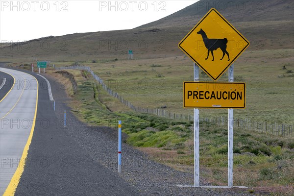 Guanaco (Llama guanicoe), Huanako, traffic sign, warning, road, Torres del Paine National Park,