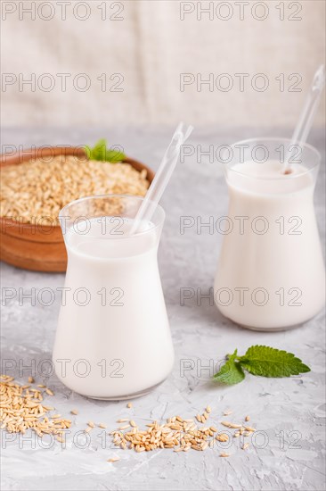 Organic non dairy oats chocolate milk in glass and wooden plate with oats seeds on a black concrete