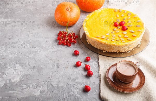 Traditional american sweet pumpkin pie decorated with hawthorn red berries and pumpkin seeds with