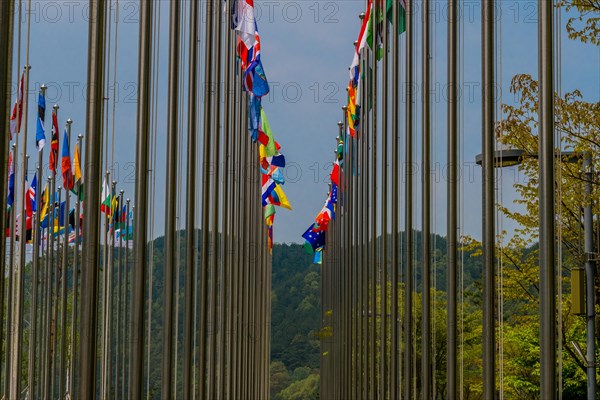 Flags from several nations flying on chrome flagpoles with trees and blue sky in background in