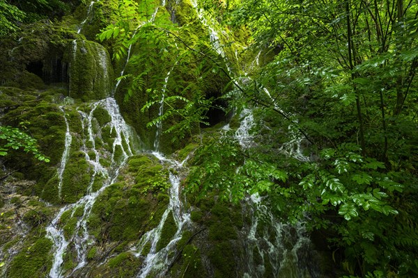 Water flowing in rivulets down a mossy mountain face, nature, natural spectacle, water, flowing,