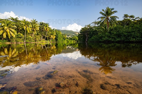 View of a river arm, a tropical mangrove landscape and the natural surroundings of Grande Anse