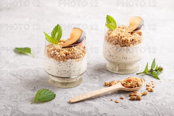 Yoghurt with plum, chia seeds and granola in a glass and wooden spoon on gray concrete background.