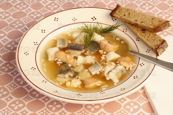 Swabian cuisine, Lake Constance fish pot, fish soup, healthy eating, broth, fillet of pike, char,