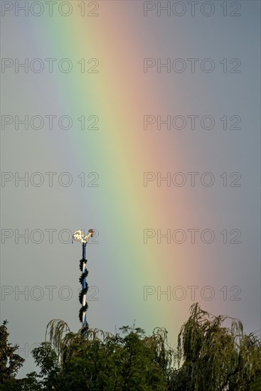 Figure of a rooster, weathercock on maypole in front of rainbow, Marzling, Upper Bavaria, Bavaria,