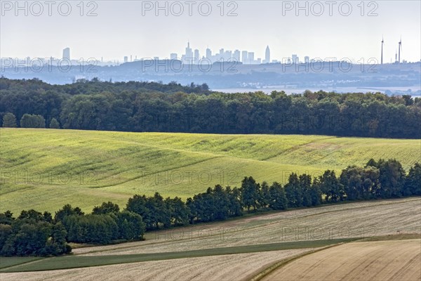 View of Frankfurt am Main, skyline of skyscrapers, fields, forest, Ronneburger Huegelland,