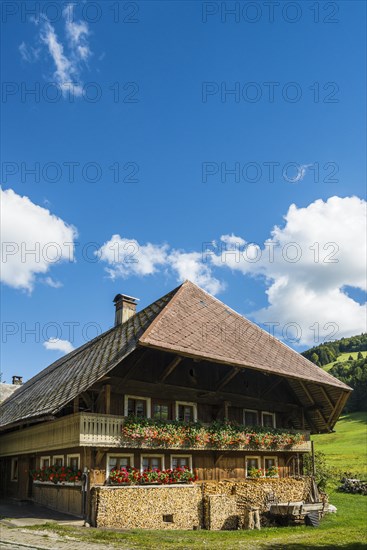 Alter Schwarzwaldhof, Praeg, near Todtnau, Black Forest, Baden-Wuerttemberg, Germany, Europe
