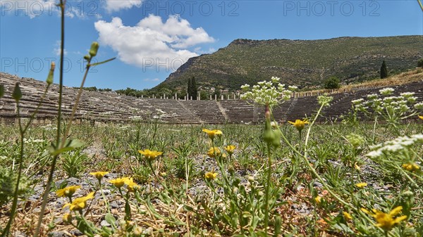 An ancient amphitheatre with a variety of wild meadow flowers in the foreground, stadium,