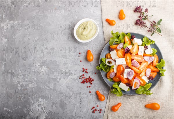 Vegetarian salad with fresh grape tomatoes, feta cheese, lettuce and onion on blue ceramic plate on