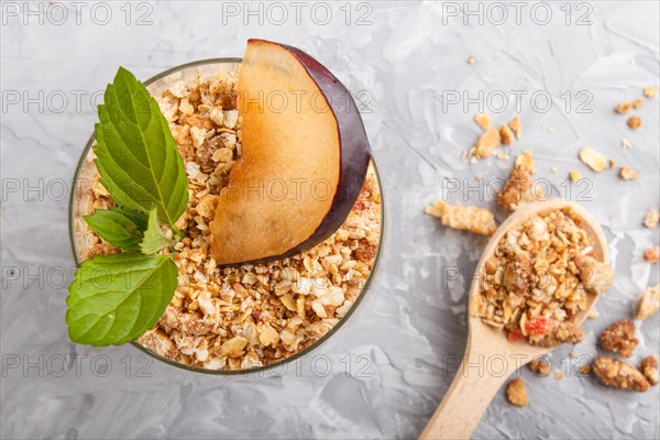 Yoghurt with plum, chia seeds and granola in a glass and wooden spoon on gray concrete background.