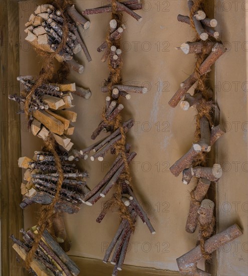 Pieces of wood used to make oriental medicine tied together with hemp rope and hanging on wall in