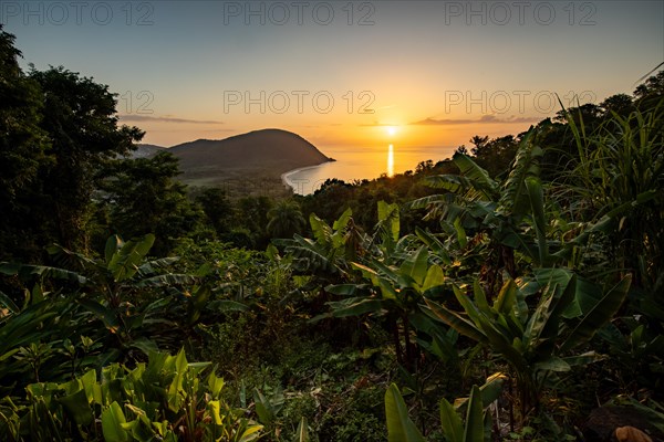 View from a mountain to a secluded bay with a sandy beach and mangrove forest. The sun rises over