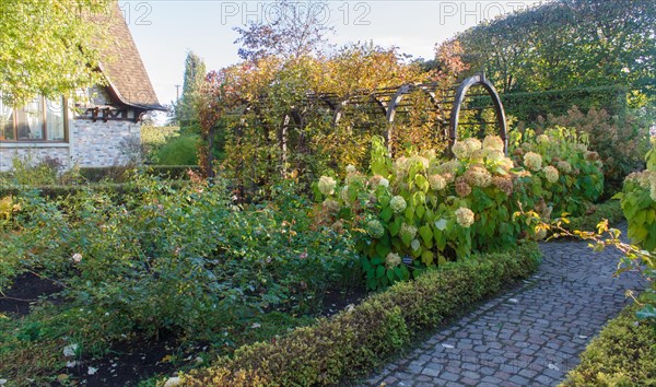 Park with green lawn, trees trimmed bushes and natural stone path in autumn. Modern landscape