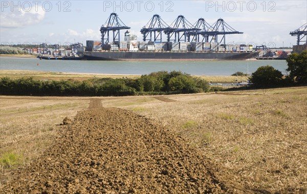 Cranes and container ships at Trimley Docks part of the Port of Felixstowe, Britain's busiest