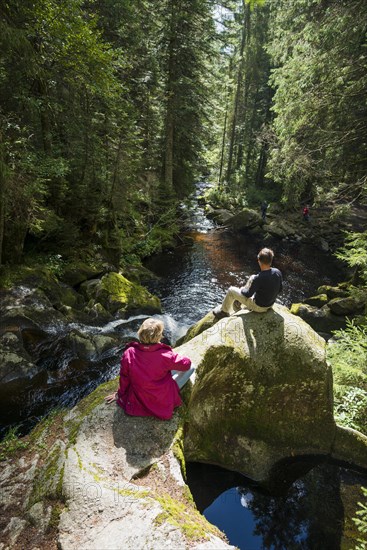 Kroi-Woog-Gumpen, with moss, rocks and forest, Hotzenwald, Black Forest, Baden-Wuerttemberg,