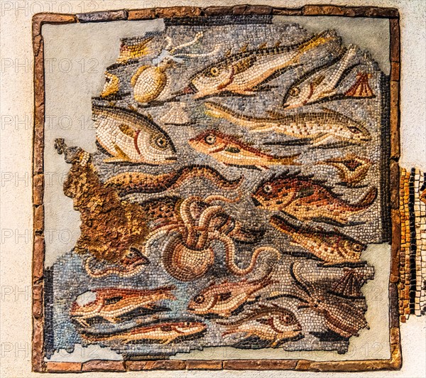 Mosaic with fish, 1st century, National Archaeological Museum, Villa Cassis Faraone, UNESCO World