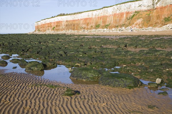 Chalk, red chalk and carstone form striped cliffs of white, red and orange at Hunstanton, Norfolk,