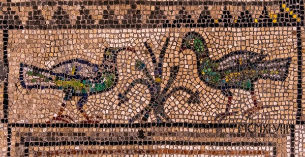 Floor mosaic of the Basilica di Santa Eufemia, Citta vecchia, island of Grado, north coast of the