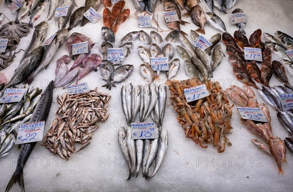 Display of fresh fish and seafood on ice, fishmonger, food, Kapani Market, Vlali, Thessaloniki,