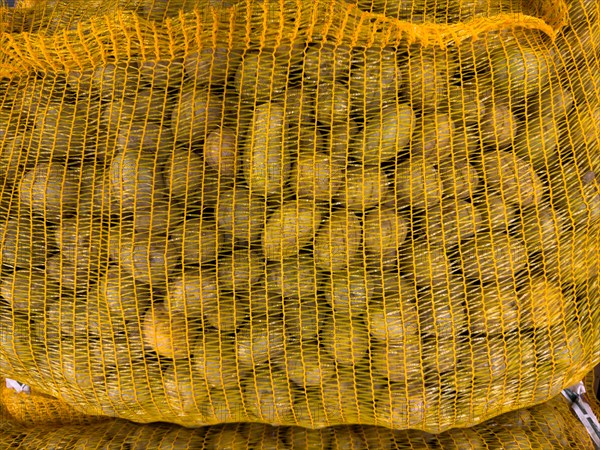 Display of variety of small table potatoes in nylon bag made of plastic Plastic packaging for food