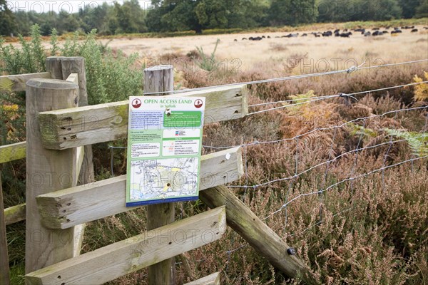 Sign for Open Access land managed conservation grazing by Hebridean sheep, Sutton Heath, Suffolk,