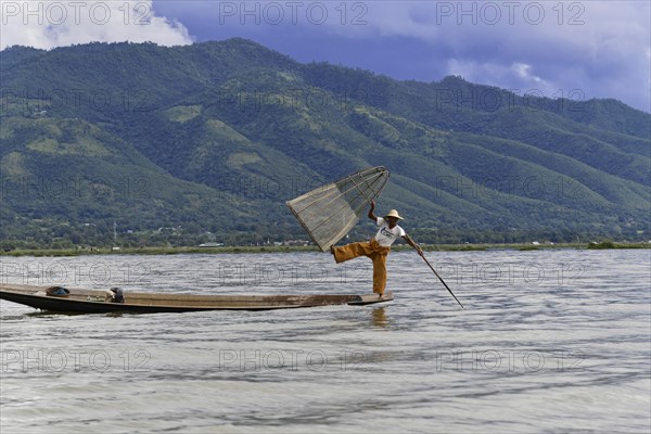 Intha fisherman, local man fishing with traditional conical fishing net, Inle Lake, Burma, Myanmar,