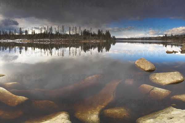 View over the Harz Oderteich in winter, dam, landscape format, evening light, landscape