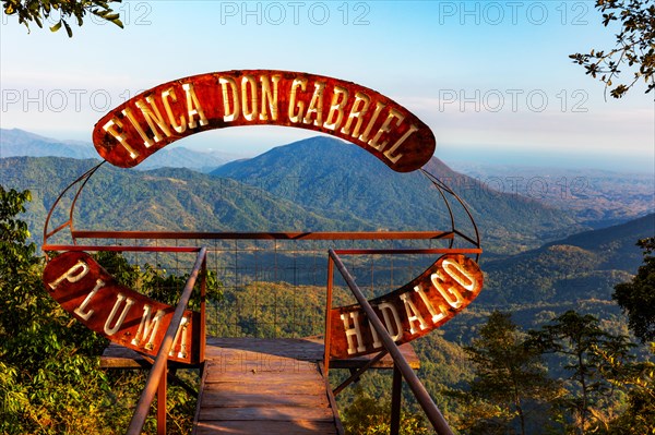Viewing platform at Finca Don Gabriel, Pluma Hidalgo, Pochutla, Oxaca state, Sierra Madre del Sur,
