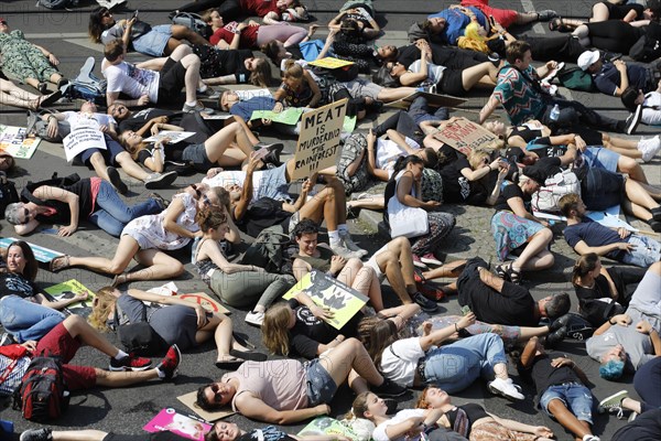 Mass die In, at the Official Animal Rights March demo at Rosenthaler Platz in Berlin. The Animal