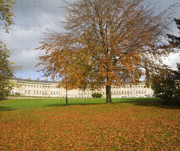 Autumn tree colours at The Royal Crescent, architect John Wood the Younger built between 1767 and