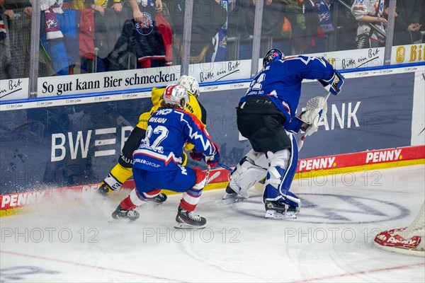 23.02.2024, DEL, German Ice Hockey League, 48th matchday) : Adler Mannheim (yellow jerseys) against