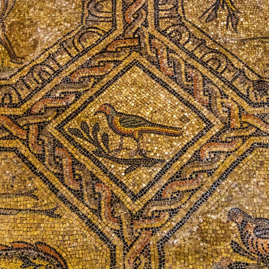 Basilica of Aquileia from the 11th century, largest floor mosaic of the Western Roman Empire,