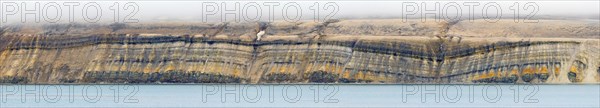 Sea cliff showing limestone and sandstone strata from the Permian period along the Hinlopen Strait,