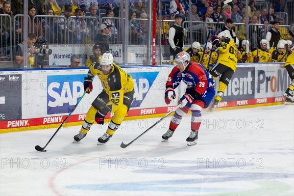 23.02.2024, DEL, German Ice Hockey League, 48th matchday) : Adler Mannheim (yellow jerseys) against